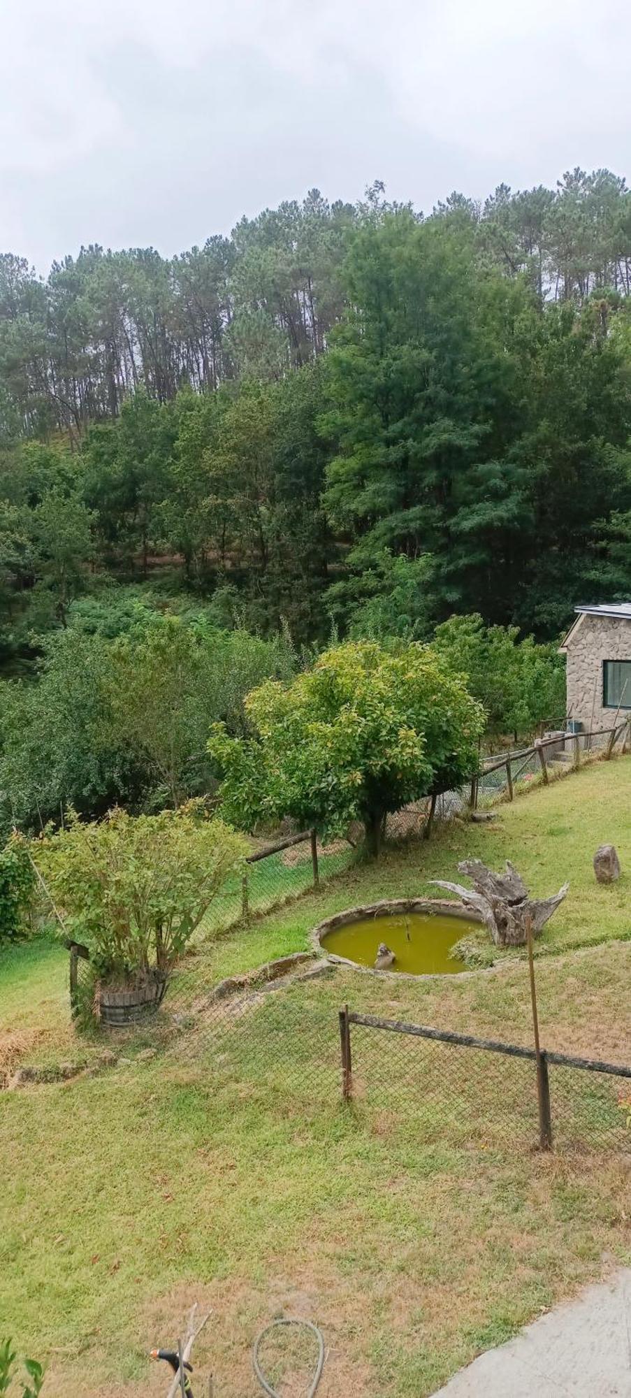 Eido Benito Villa Mondariz Bagian luar foto