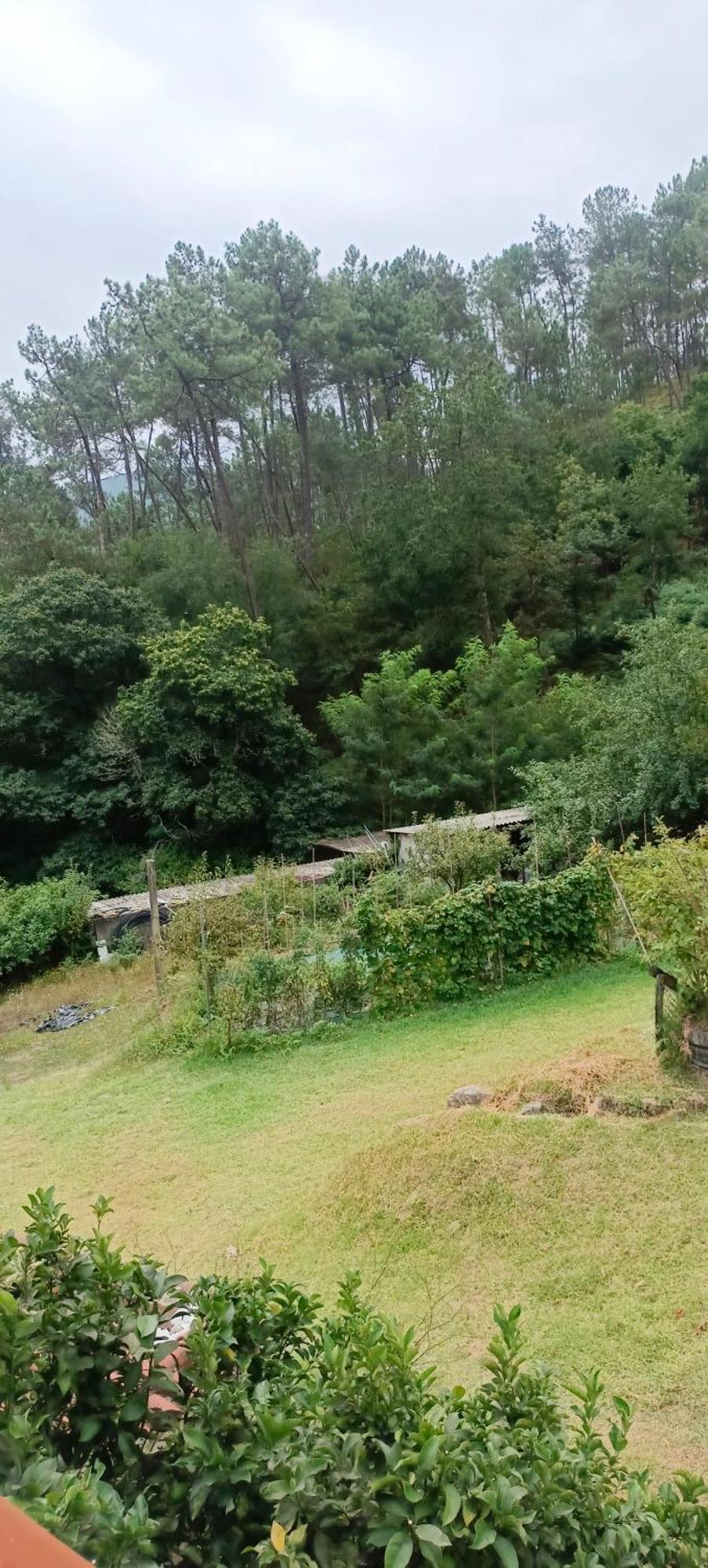 Eido Benito Villa Mondariz Bagian luar foto
