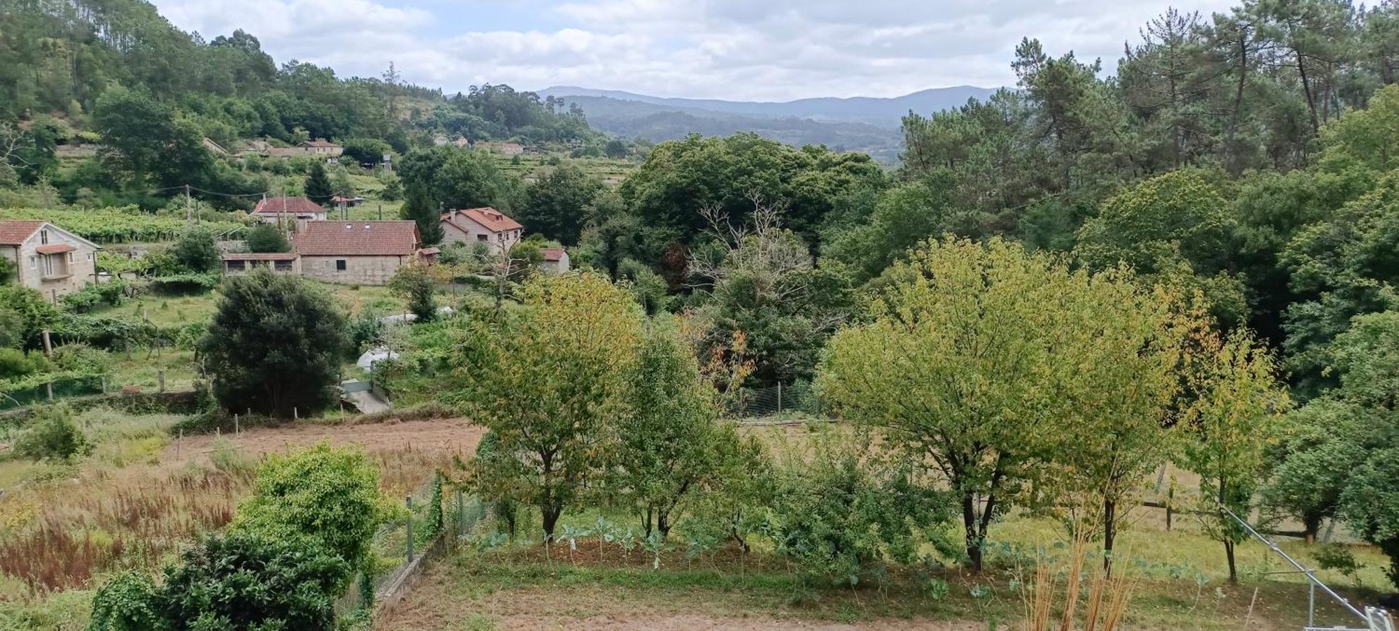 Eido Benito Villa Mondariz Bagian luar foto